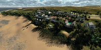 1 Seagulls Overview2000