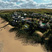 1 Seagulls Overview2000