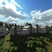 5 Cottages